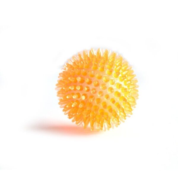 Interactive Pig Face Dog Ball