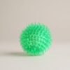 Interactive Pig Face Dog Ball