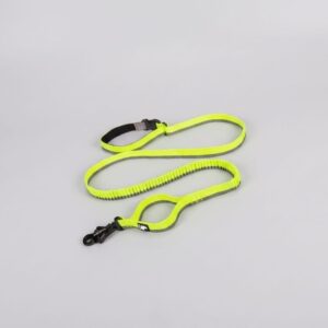 Pet Dog Leash With Elastic Cushioning