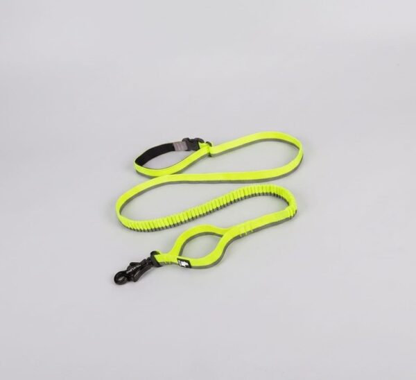 Pet Dog Leash With Elastic Cushioning